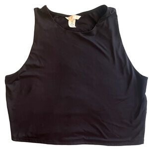 H&M Black Sheen Sleeveless Crop Top